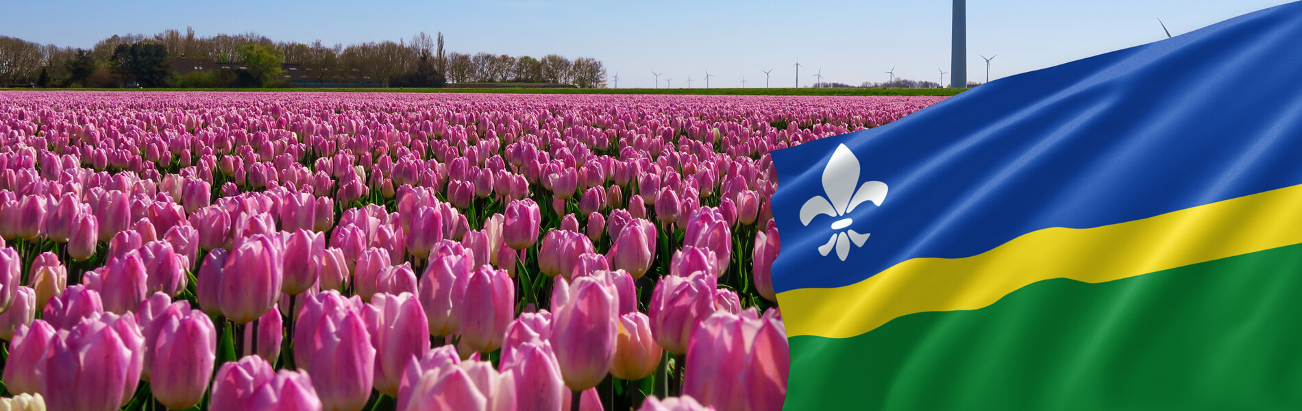 BBB_Header_Flevoland